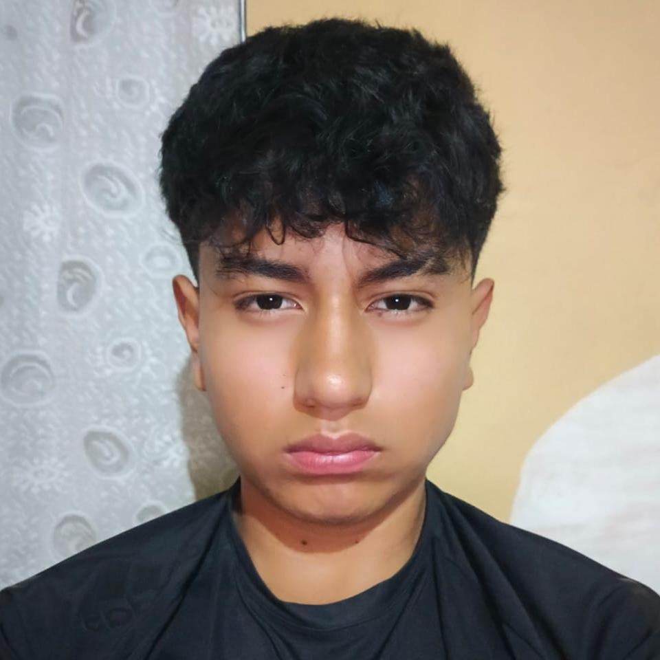 User Image