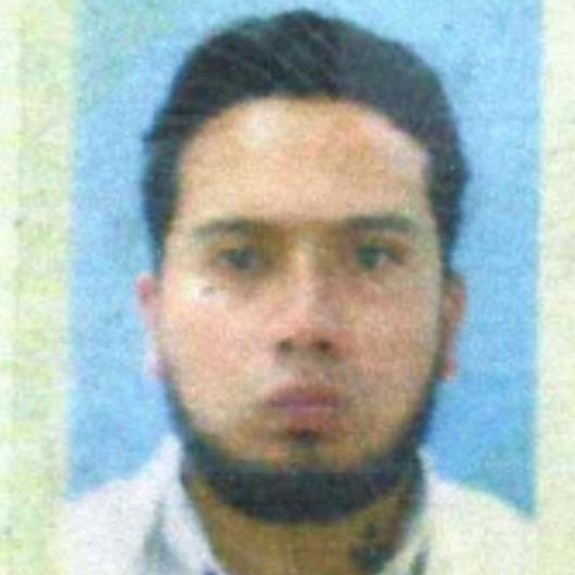 User Image